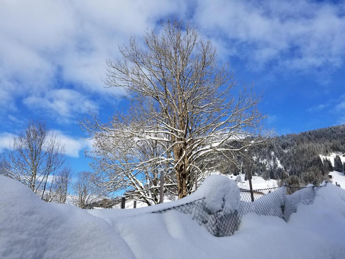 Alpenhotel Wildschoenau B&B Eksteriør billede